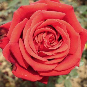 8/5-my 2nd live show!